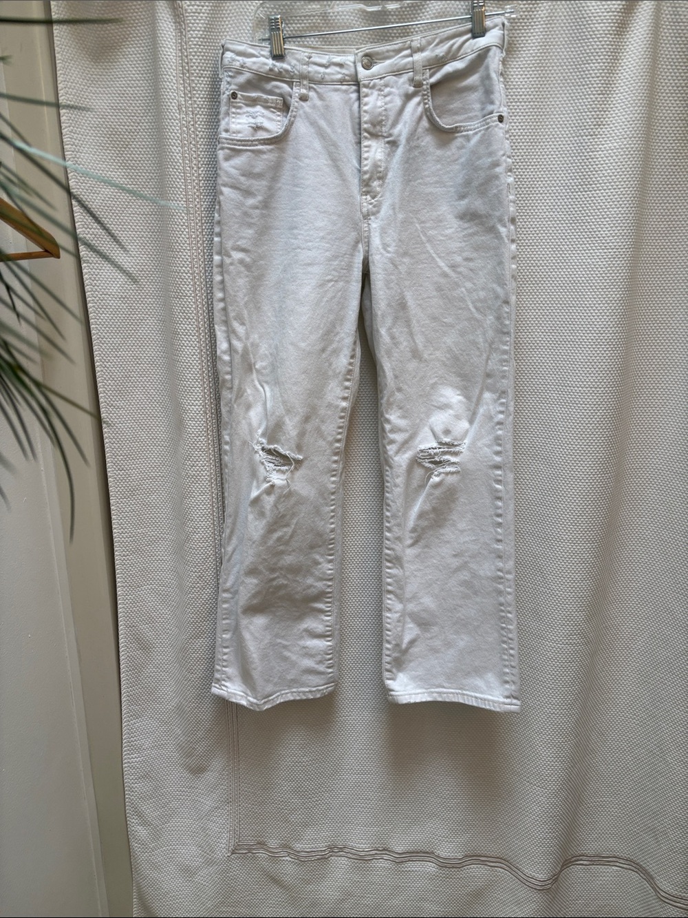 Pilcro White Straight-Leg Jeans with Knee Distressing